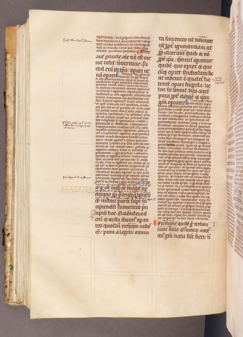 Folio 145 verso